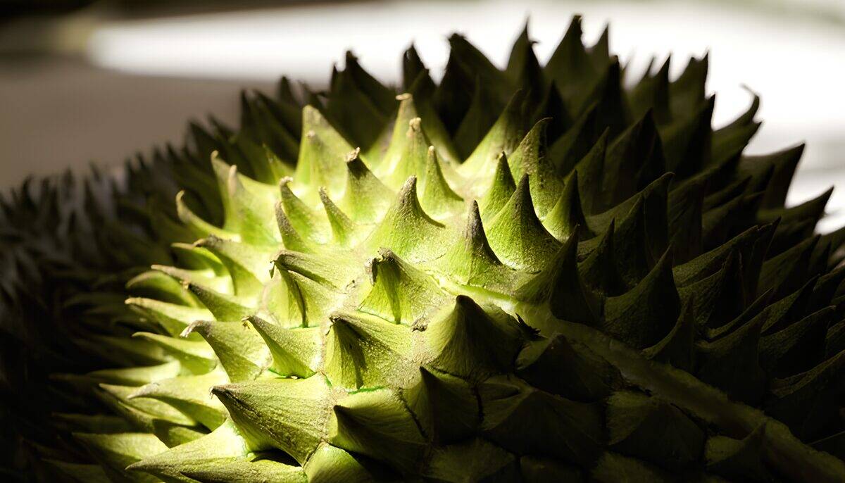 Sứ mệnh Sức Khỏe